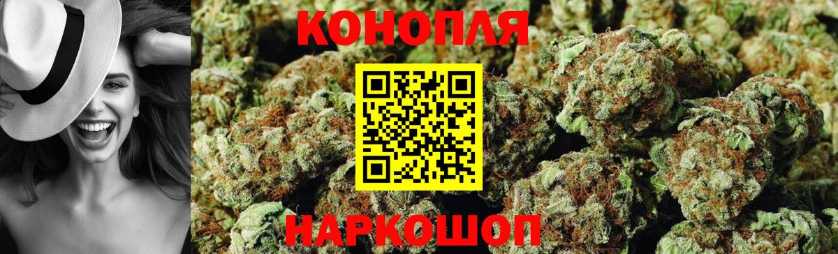 Канабис тримм  Бошки марихуана план  Вход с VPN  Марихуана White Widow  Рубцовск 